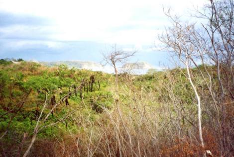 Bild 2 - Grundstück zum Kaufen in Samara