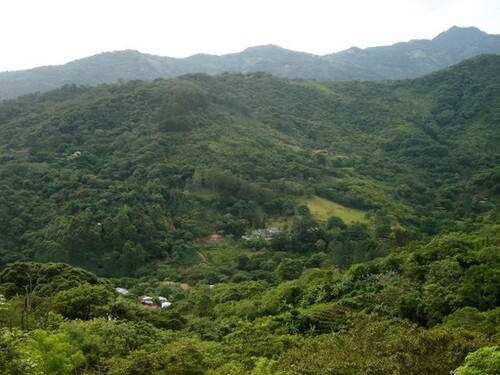 Bild 3 - 9 Zimmer Einfamilienhaus in Río Oro de Santa Ana