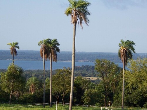 Bild 3 - 3 Zimmer Einfamilienhaus in Altos / Cordillera