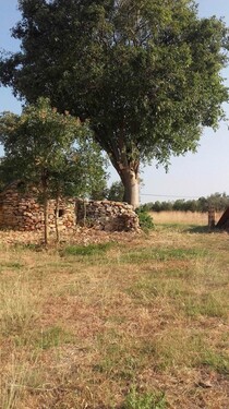 Bild 2 - Grundstück zum Kaufen in Galizana