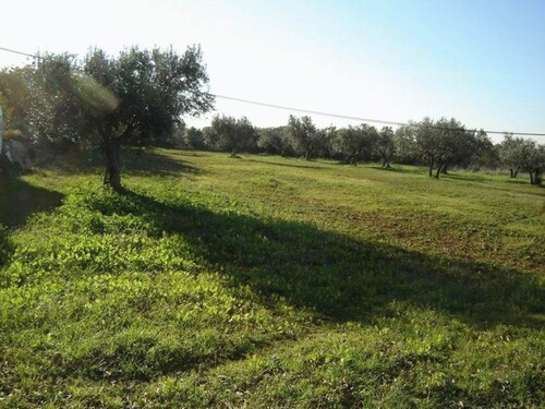 Bild 3 - Grundstück in Galizana