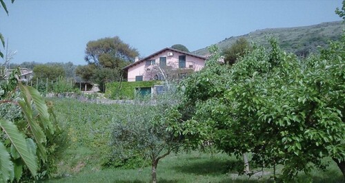 Bild 1 - Großzügiges Landhaus, Weinberg, Bosa, Sardinien