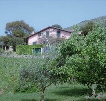 Großzügiges Landhaus, Weinberg, Bosa, Sardinien