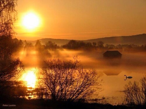 Bild 3 - 5 Zimmer Einfamilienhaus in Slöinge