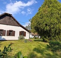 In Süd-Ungarn ein gepflegtes schönes Bauernhaus mit 3ha Wald - Ásotthalom