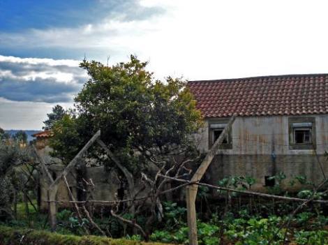 Bild 4 - Einfamilienhaus mit 388,00 m² in Pedrogao Grande zum Kaufen