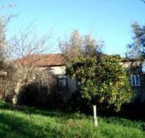 Herrschaftliches Dorfhaus mit einem reichhaltigen Obstgarten - Pedrógão Grande