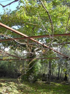Bild 3 - 1 Zimmer Einfamilienhaus in Castanheira de Pêra
