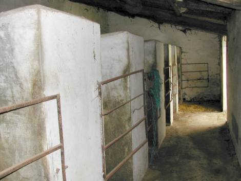 Bild 4 - Einfamilienhaus mit 1.000,00 m² in telheiro reguengos de monsaraz zum Kaufen