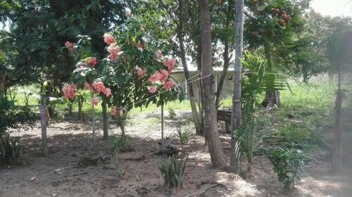 Bild 2 - 8 Zimmer Einfamilienhaus zum Kaufen in Cuiaba