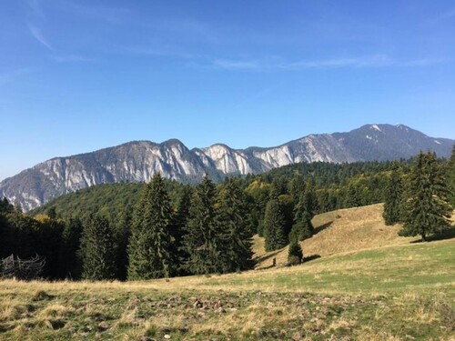 Bild 3 - 9 Zimmer Einfamilienhaus in Predeal Kreis Brasov Trassilvanien
