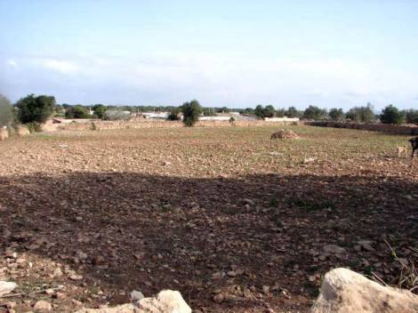 Bild 1 - Schönes 7000 Grundstück mit Baugenehmigung, 10km Strand.