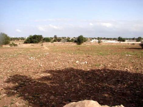 Bild 2 - Grundstück zum Kaufen in Essaouira