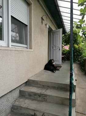 Bild 2 - 4 Zimmer Einfamilienhaus zum Kaufen in Verpelét