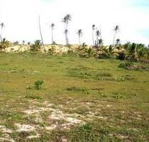 Strandgrundstück in Bahia - 55.000,00&nbsp;EUR Kaufpreis, ca.&nbsp; 6.000,00&nbsp;m&sup2; in Barra do Itariri (PLZ: )