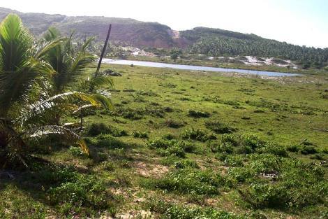 Bild 3 - Grundstück in Barra do Itariri