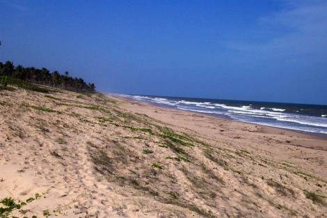 Bild 4 - Grundstück in Barra do Itariri zum Kaufen