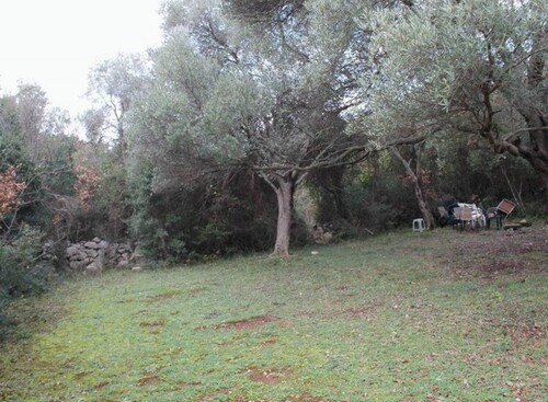 Bild 3 - Grundstück in Bar-Vidikovac