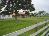 Bild 1 - 1000 ha Weideland mit 1800 Rindern