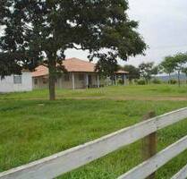 1000 ha Weideland mit 1800 Rindern - Itapetininga