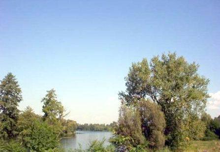 Bild 3 - Grundstück in Rypin