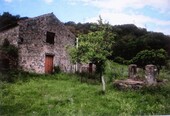 Bild 1 - Altes Bauernhaus in golfo di Policastro zu renovieren