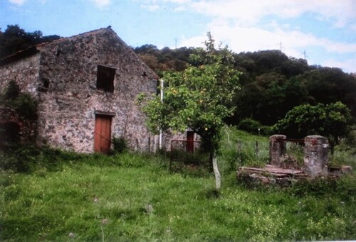 Bild 1 - Altes Bauernhaus in golfo di Policastro zu renovieren