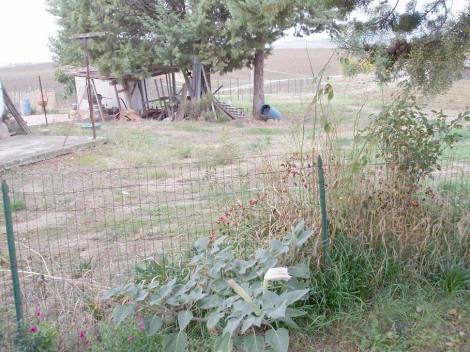 Bild 3 - 3 Zimmer Einfamilienhaus in Paciano