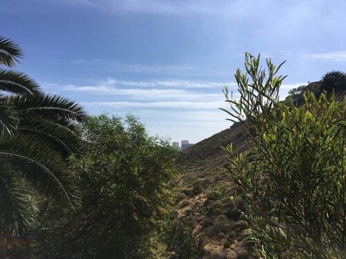 Bild 2 - Grundstück zum Kaufen in Las Palmas de Gran Canaria
