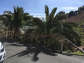 Bild 4 - Grundstück in Las Palmas de Gran Canaria zum Kaufen