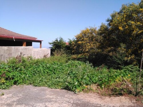 Bild 2 - Grundstück zum Kaufen in Arucas