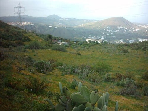Bild 1 - Rustikales Grundstück von 5175 mit regen Tank in Telde.