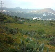 Rustikales Grundstück von 5175 mit regen Tank in Telde.