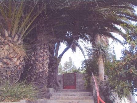 Bild 4 - Einfamilienhaus mit 187,00 m&sup2; in Telde zum Kaufen