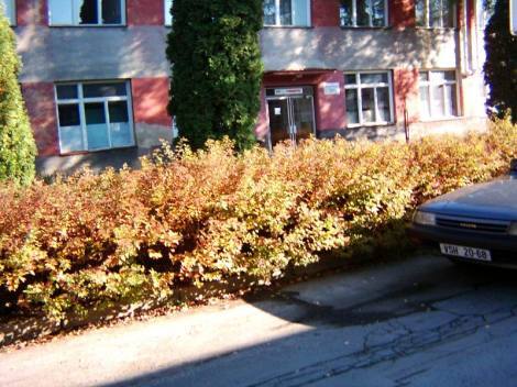 Bild 1 - Industrielles Administrations-Gebäude Komplex, Hammerpreis