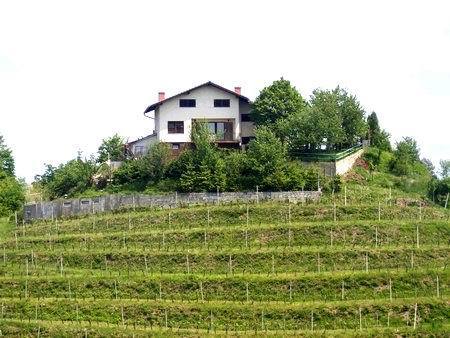 Bild 4 - Grundstück in Podlehnik zum Kaufen