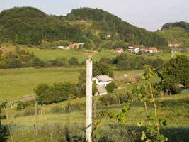 Bild 4 - Grundstück in Pesnica zum Kaufen