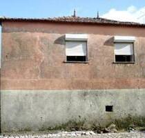 Dorfhaus mit vielen Nebengebäuden u. Zitrus-Fruchtbaumgarten - Figueiró dos Vinhos