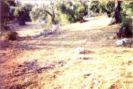 Bild 4 - Einfamilienhaus mit 361,00 m² in Korfu zum Kaufen