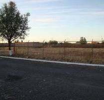 3 Grundstücke inmitten der Natur in Mexiko - Ciudad de México