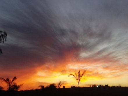 Bild 3 - Grundstück in Ciudad de México