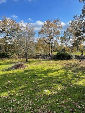 Bild 1 - Bauland in Apulien zu verkaufen 9000m2 Baugenehmigung