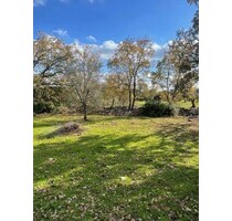 Bauland in Apulien zu verkaufen 9000m2 Baugenehmigung - Carovigno