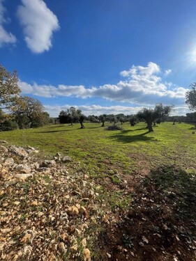 Bild 3 - Grundstück in Carovigno