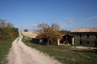 Bild 3 - 10 Zimmer Einfamilienhaus in Sassoferrato