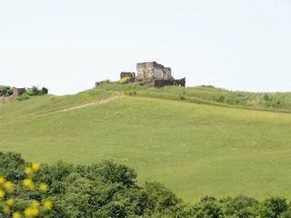 Bild 1 - Schönes Stück Land mit Haus in der Toscana