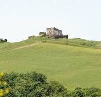 Schönes Stück Land mit Haus in der Toscana - Santo Stefano