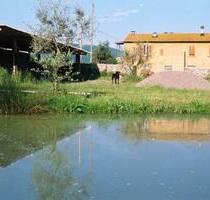 Verkauf von -Podere S. Paolo- - 750.000,00 EUR Kaufpreis, ca.  500,00 m² Wohnfläche in Canneto - Monteverdi (PLZ: 56040)