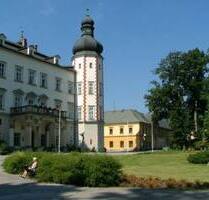 Wohnung, 10 Min. von Spyndleruv, Denkmal - Vrchlabi