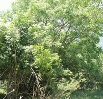 Steiniger Baugrund ab 500m2 Meer 1400m Meerblick - Kreis Bar